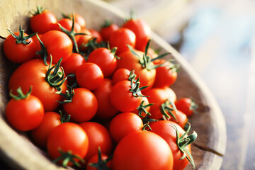 Wall Mural - Ecological fresh farm cherry tomatoes on a wooden background.