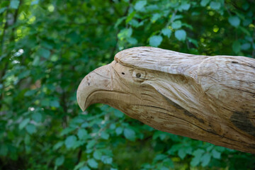 An eagle head carved in the trunk of a tree in Sovata resort - Romania