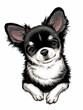 Cute long haired chihuahua sketch. Portrait of a dog made in hand drawn style. Drawn puppy