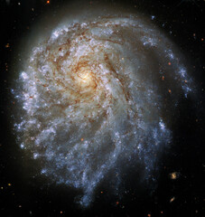 Wall Mural - spiral galaxy ngc 2276 in constellation cepheus.