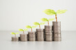 green seed growth on coins stack with white background. money saving. business investment successful growing concept.