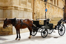 Horse And Carriage On The Street Of Palma De Mallorca