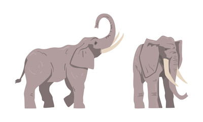 Wall Mural - Standing Elephant as Large African Animal with Trunk, Tusks, Ear Flaps and Massive Legs Vector Set