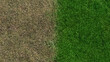 lawn fertilizer before and after landscaping growing sward 3D illustration