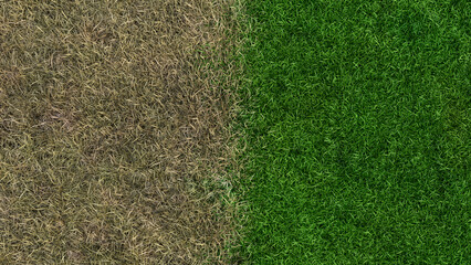 lawn fertilizer before and after landscaping growing sward 3d illustration