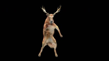 Wall Mural - deer dancing cg fur 3d rendering animal realistic cgi vfx animation loop composition 3d mapping cart