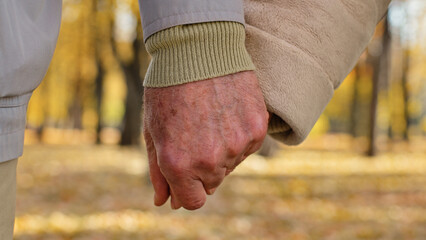 Close up two wrinkled hands elderly couple hold arms together romantic gesture old middle-aged family grandparents mature partners support marriage relationship care love unity in autumn park outdoor