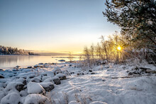 A Beautiful Winter Landscape Of Frozen Seashore In A Chilly Weather With Clear Sky Horizon, Sunrays And Pine Trees