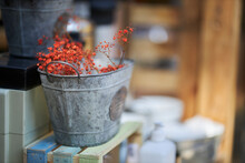 Decorative Dry Red Flowers In A Metal Bucket, Blurred Background, Soft Focus