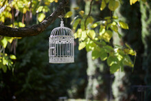 A White Birdcage Visits The Village In The Garden. Beautiful Cage In The Garden With Birds