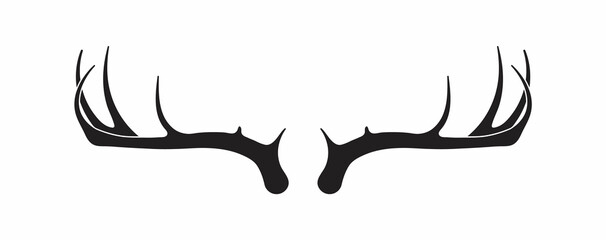 deer antlers vector. silhouette of the horns of a wild elk, roe deer on a white background.