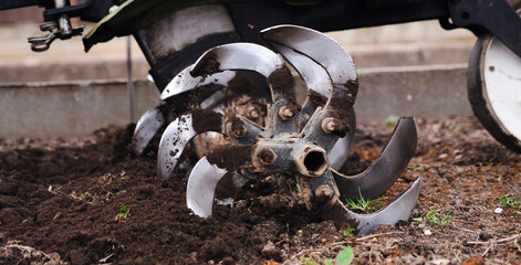 motor cultivator or tiller tractor cultivates the ground soil in the garden close up. Modern plowing farming and technology agriculture.