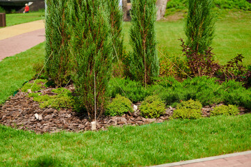 Wall Mural - Urban landscaping with perennials in a landscape park