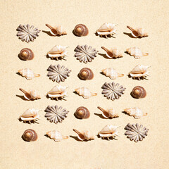 Wall Mural - Neatly arranged pattern made of sea shells   in the beach sand. Minimal flat lay. Summer vacation background.