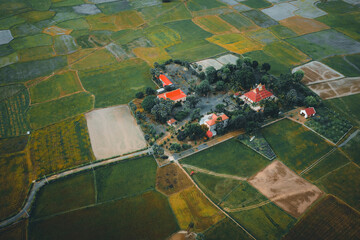 Aerial view of fresh green and yellow rice fields and palmyra trees in Mekong Delta, Tri Ton town, An Giang province, Vietnam. Ta Pa rice field.