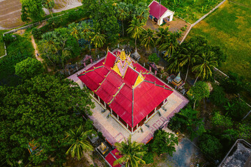 Aerial view of fresh green and yellow rice fields and palmyra trees in Mekong Delta, Tri Ton town, An Giang province, Vietnam. Ta Pa rice field.