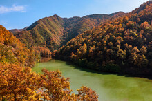 Golden Plants And  Green Lake And Mountains In The West Of Henan Funiu Autumn