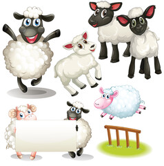 Poster - Cute animals cartoon set on white background