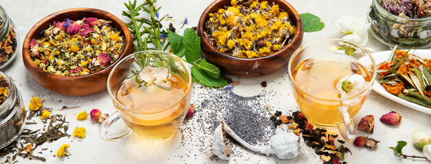 Wall Mural - Herbal tea assortment on dark background.