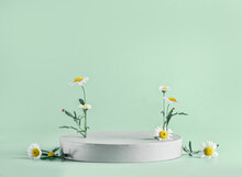 Modern Floral Product Display With Podium And Chamomile Flowers At Light Turquoise Background. Scene Stage Showcase. Front View With Copy Space.