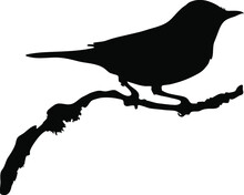 Bird Standing On Branch Silhouette Vector, Symbol Idea, Side View, Isolated On White Background, Wild Animal Concept, Fill With Black Color Wildlife Animal, Little Bird Icon