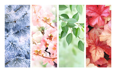 Wall Mural - Four seasons of year. Set of vertical nature banners with winter, spring, summer and autumn scenes