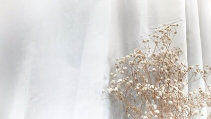 Wall Mural - Wind blowing white curtain and Dried beige tiny gypsophila flower decorate in room                    