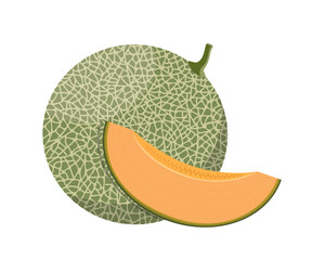 Wall Mural - Melon, whole and slices, flat style vector illustration isolated on white background