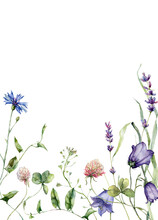 Watercolor Meadow Flowers Border Of Campanula, Clover And Lavender. Hand Painted Floral Card Of Wildflowers Isolated On White Background. Holiday Illustration For Design, Print Or Background.