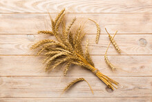 Sheaf Of Wheat Ears Close Up And Seeds On Colored Background. Natural Cereal Plant, Harvest Time Concept. Top View, Flat Lay. World Wheat Crisis