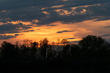 Fototapeta Na sufit - Orange glow in clouds at dusk, forest silhouette and blue clouds in sky