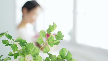 Wall Mural - 部屋でくつろぐ女性と植物