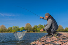 Area Trout Fishing. Fisherman Catch Trout Fish By Spinning Rod And Landing Net