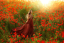 Happy Fantasy Woman Queen In Red Silk Dress, Walking In Poppy Field, Summer Green Grass, Nature Flowers. Girl Goddess Princess Train Hem Skirt Flying In Wind, Satin Fabric Waving. Art Divine Sun Light