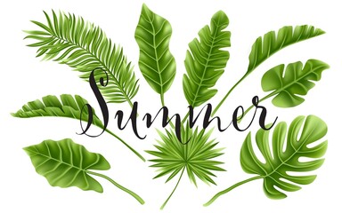 tropical palm leaf isolated on white background. realistic green summer plant. vector illustration