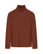 Brown turtleneck sweater isolated white