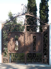 High iron gates with a decorative forged pattern enclose a private area with green vegetation and arborvitae in the yard