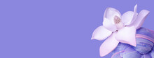 Beautiful Lotus Flower Symbol Of Zen And Yoga On A Lilac Background.