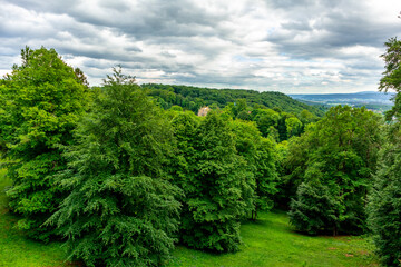 Wall Mural - Sommerspaziergang im schönen Park in Altenstein bei Bad Liebenstein - Thüringen - Deutschland