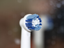 Electric Toothbrush Rotating Head Detail