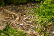Leftover garbage in the middle of the forest