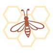 Bee on honeycomb icon