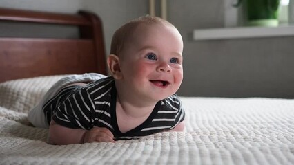 Wall Mural - infant toddler boy learning to crawl at home