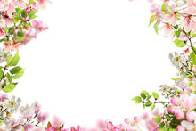 Tree Branch Flower Photo Overlays, Summer Spring Painted Frame S, Photo Art, Png