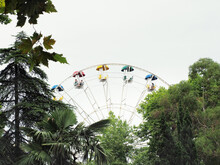 A Multicolored Ferris Wheel With Open Booths Is Visible Behind The Green Southern Trees Against A Cloudy Sky.