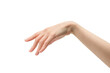 © Nikolay - Woman hand isolated on a white background.