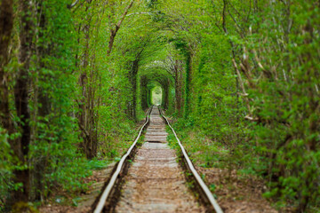 Poster - a railway in the spring forest. Tunnel of Love, green trees and the railroad