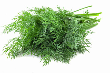 bunch fresh green dill isolated on white background