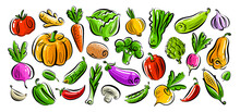 Vegetarian Organic Healthy Food Set. Farm Vegetables Collection. Vegan Concept. Color Vector Illustration