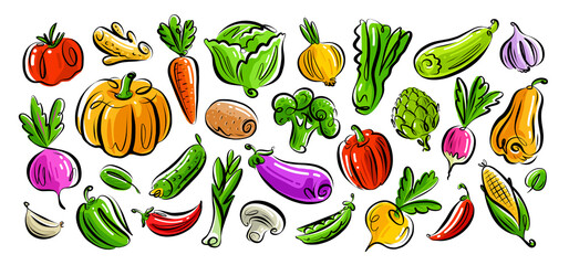 Vegetarian organic healthy food set. Farm vegetables collection. Vegan concept. Color vector illustration